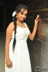 Nakshatra At Rojulu Marayi Audio Launch